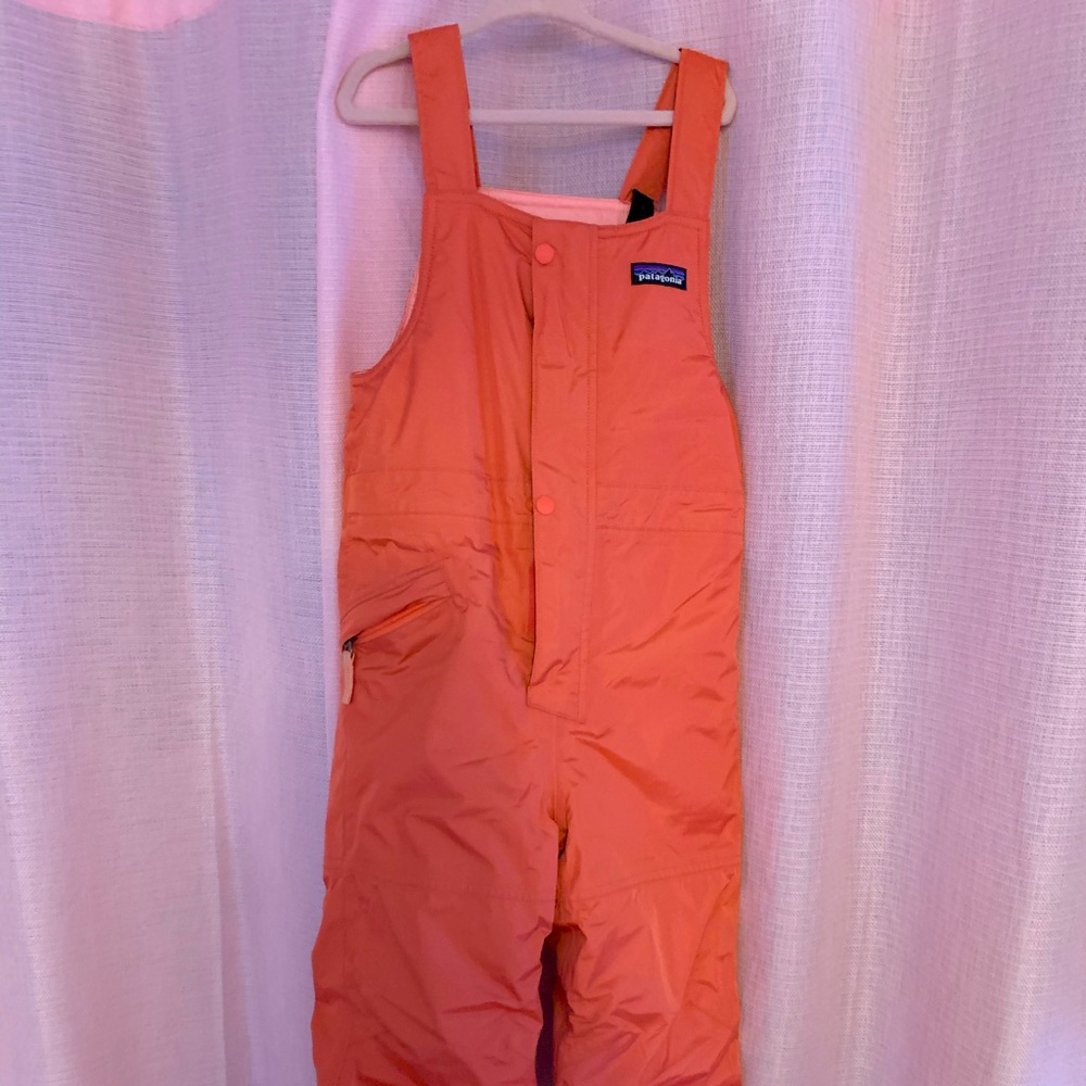 Patagonia Snowbib/Snowpants